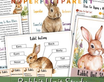 Lebenszyklus eines Kaninchens Einheitsstudie für Kinder | Druckbare Arbeitsblätter, praktische Aktivitäten, lustige Fakten | Homeschool Lernen