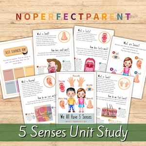 5 Senses Printable for Children Five Senses Unit Study For Homeschool Printable Science For Kindergarten & Preschool Sensory Scavenger Hunt