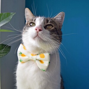 Pineapple Cat or Dog Bowtie - Hawaiian Pet Bow Tie - Tropical Fruit Bowtie print - Removable Bowtie with Elastic Band - Small Dog Bowtie
