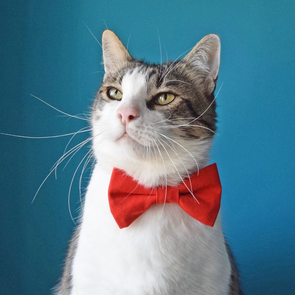 Red Cat Bowtie: Removable Pet Collar Bowtie