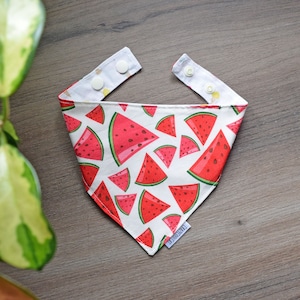 Wassermelonen Katzen Bandana - Sommer Haustier Halstuch - Eis Hunde Bandana - Wende Katzen Schal - Food Print Kätzchen Lätzchen