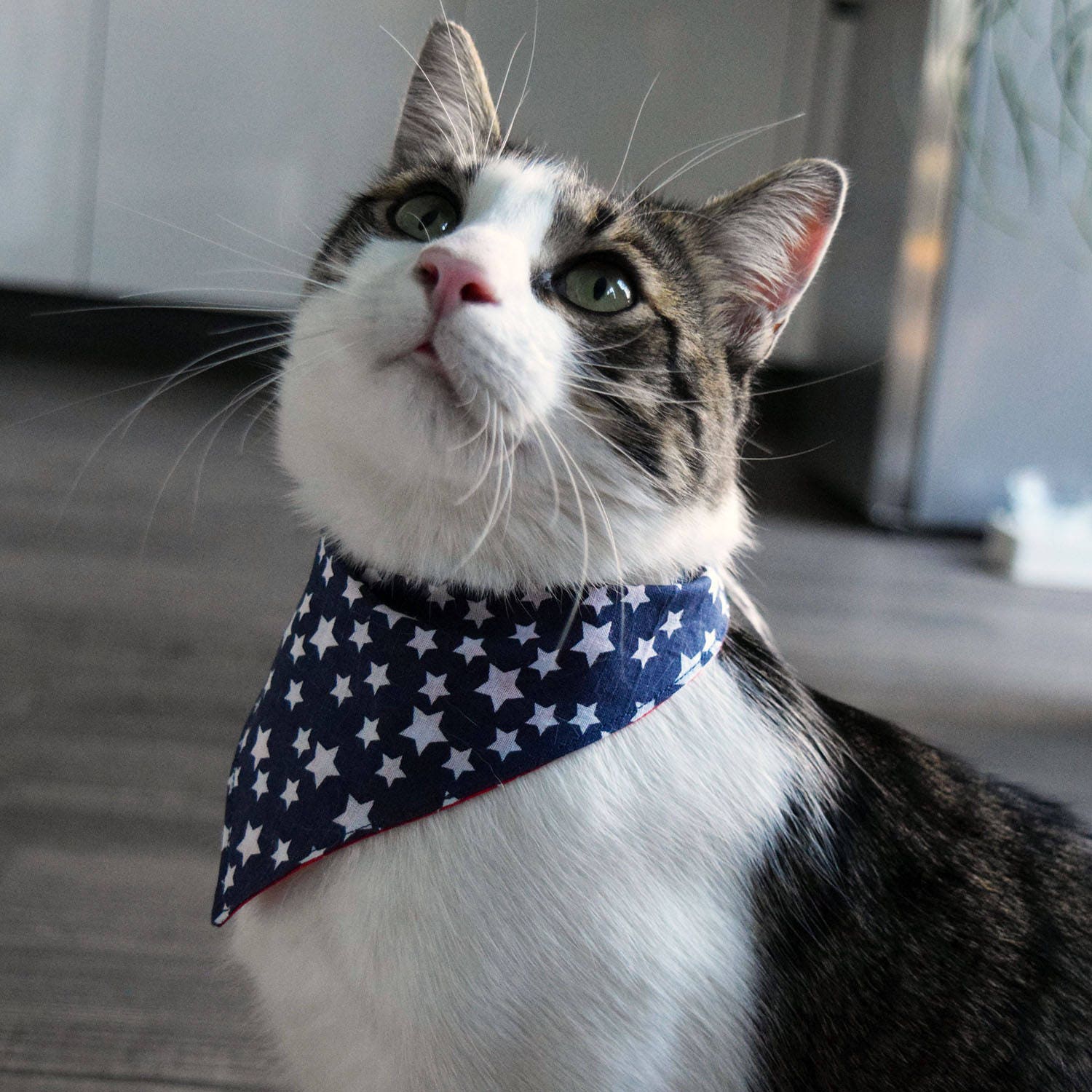 Bandana Star Cat Réversible - Red Holiday Neckerchief Bandana Bleu Petit Chien avec Snaps 4 Juillet 