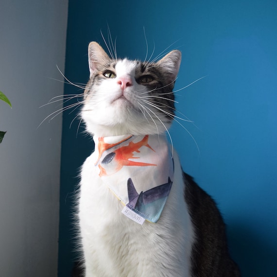 Shark Cat Bandana - Hammerhead Shark Pet Scarf - Summer Ocean Kitten Bib - Underwater Cat Neckerchief - Sea Life Small Dog Bandana