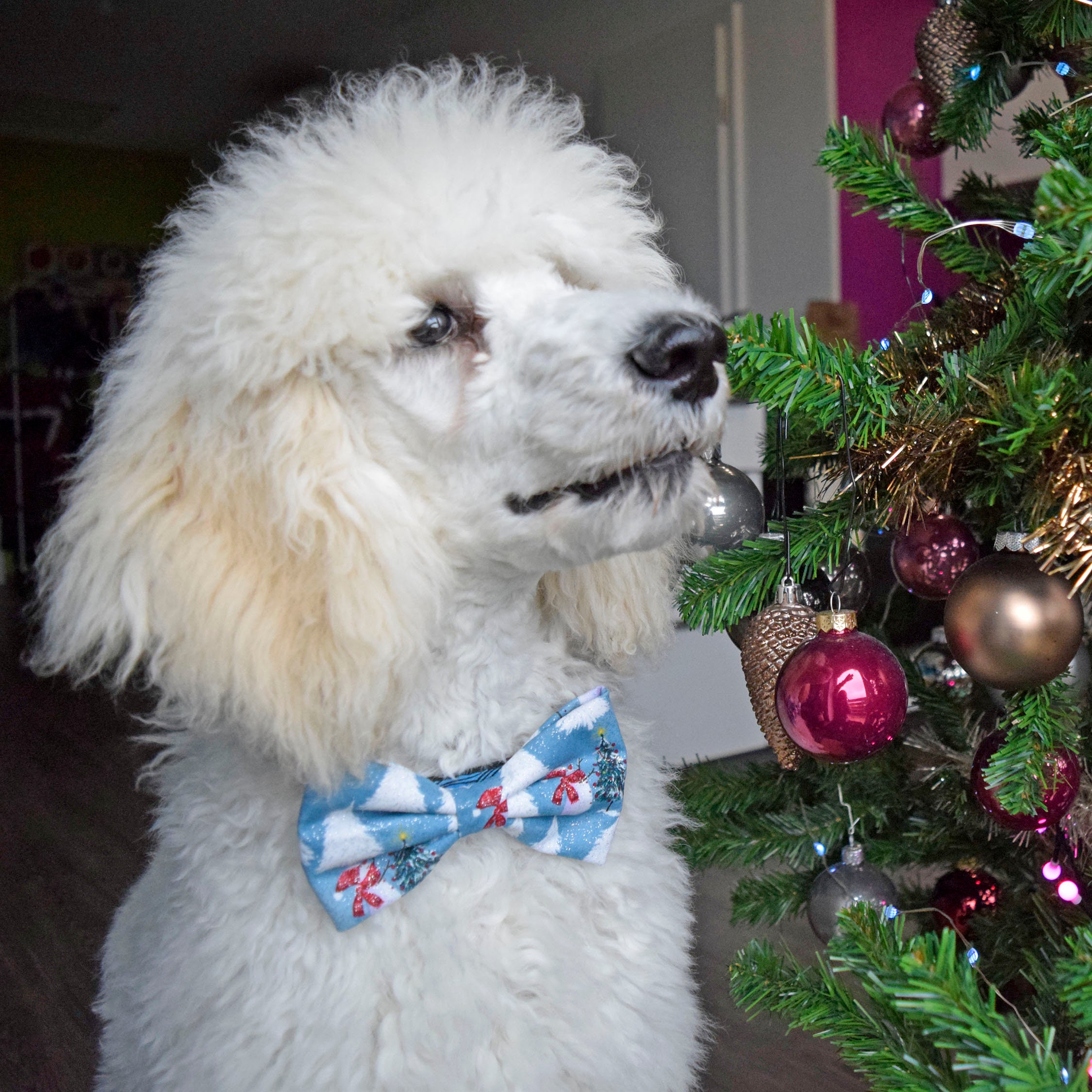 Weihnachtliche Hundefliegen – 6 Stück Mit Schneemann, Weihnachtsbaum, Elch-Motiven, Verstellbar, Für Haustiere