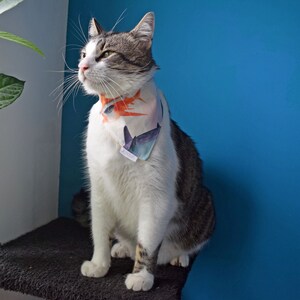 May include: A triangular pet bandana featuring a graphic print of a shark with orange and blue colours. The fabric accessory is worn around the neck of a white and grey tabby cat, showing a small white fabric tag on the lower edge of the bandana.