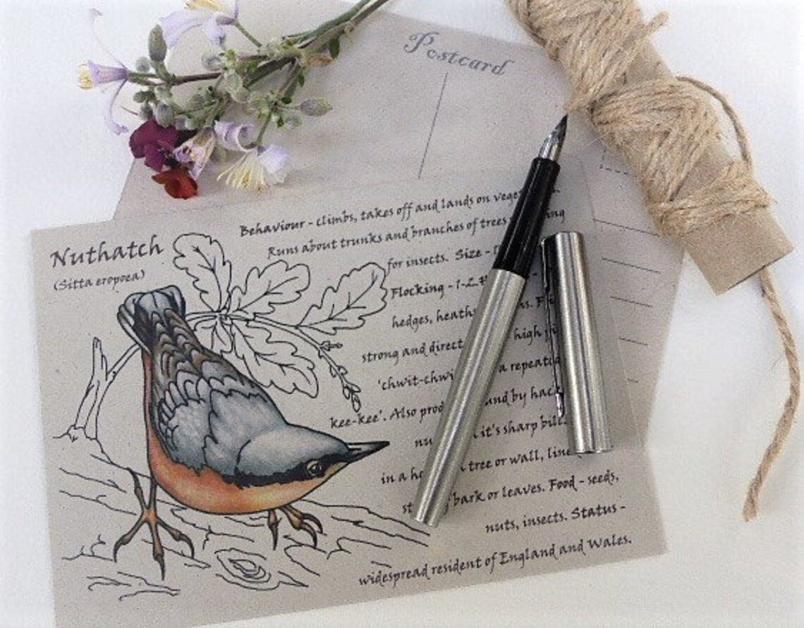 Pack of 5 Garden Birds Postcards Bird Spotter Gifts for Etsy UK