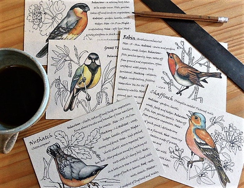 Pack of 5 Garden Birds Postcards Bird Spotter Gifts for Etsy UK