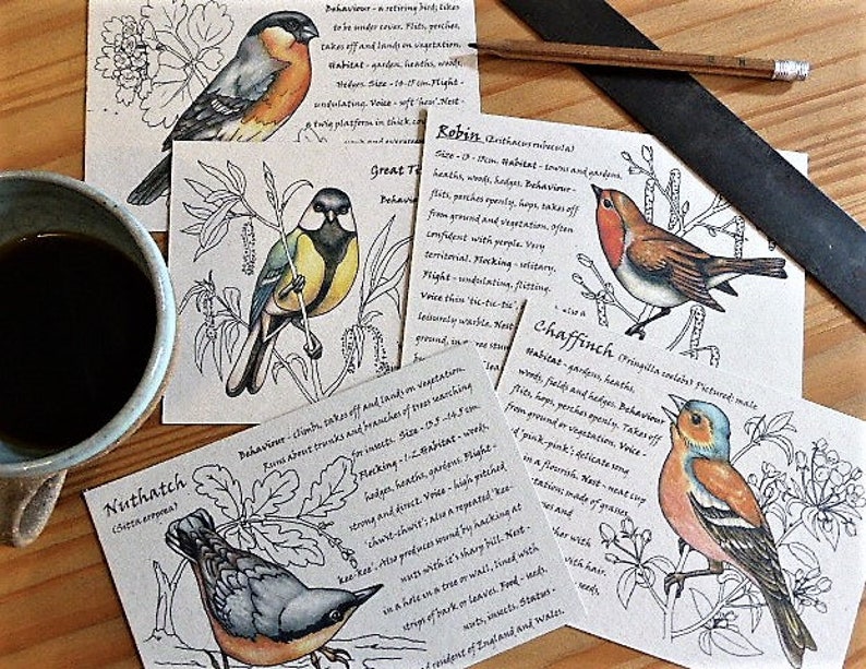 Pack of 5 Garden Birds postcards bird spotter gifts for him eco friendly recycled Fathers Day gift ideas image 6