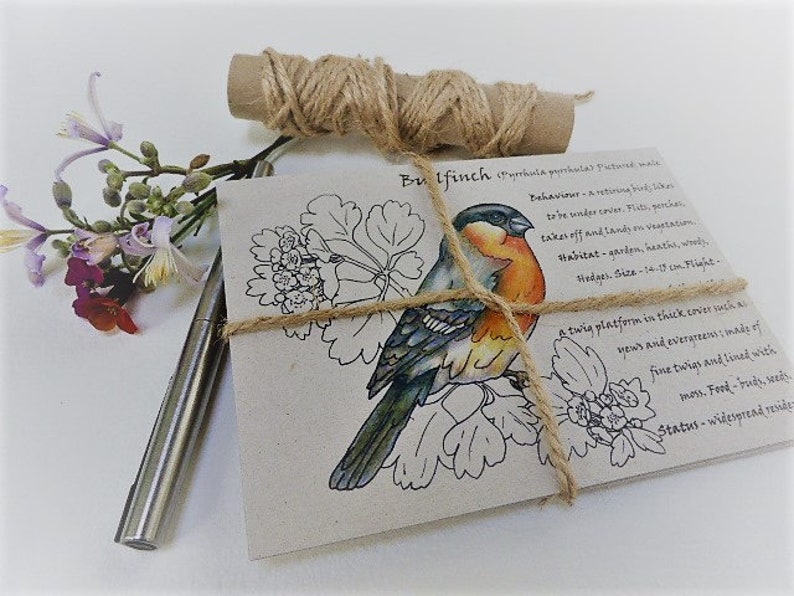 Pack of 5 Garden Birds Postcards Bird Spotter Gifts for Etsy UK