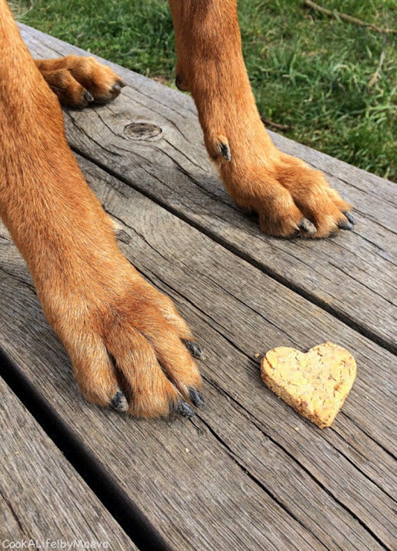 Biscuit à La Carotte Pour Chien