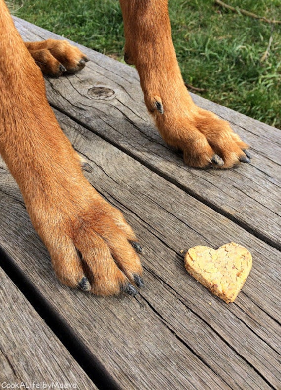 Biscuit à La Carotte Pour Chien