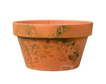 Birgitte Aged Terracotta Bowl Planter