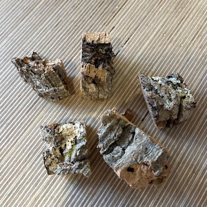 Cork Bark Chunks / Pieces - Terrarium Supplies