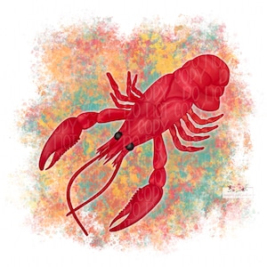 Download di arte digitale di gamberi / gamberi ad acquerello / stampa digitale / sublimazione / disegnato a mano / PNG / bollire i gamberi / Cajun / creolo
