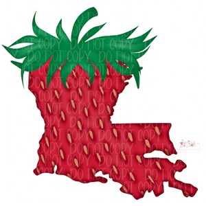 Strawberry Louisiana Digital Design Download | Hand drawn | Doodle Design | Sublimation | Digital Download |Strawberry  PNG | Louisiana PNG