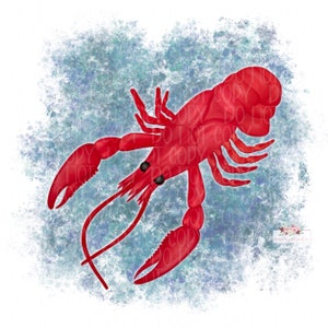 Download di arte digitale di gamberi / gamberi ad acquerello / stampa digitale / sublimazione / disegnato a mano / PNG / bollire i gamberi / Cajun / creolo