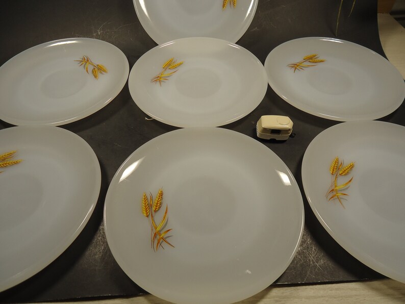 milk glass saucers Set of 7 Fire king wheat design