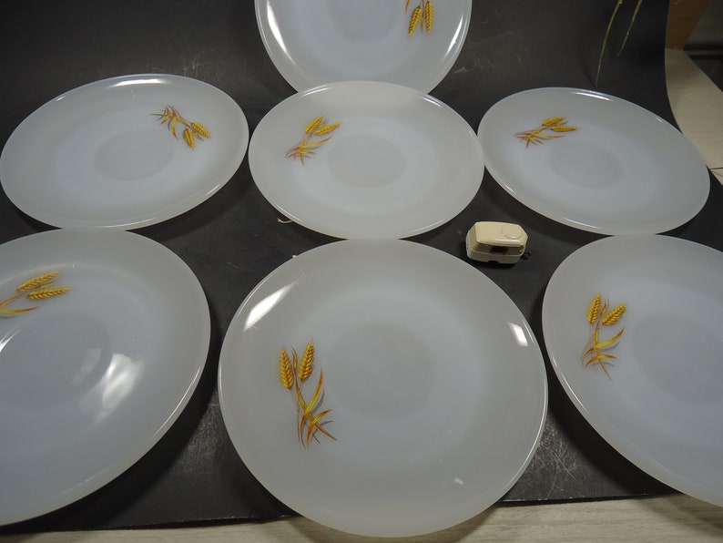 milk glass saucers Set of 7 Fire king wheat design