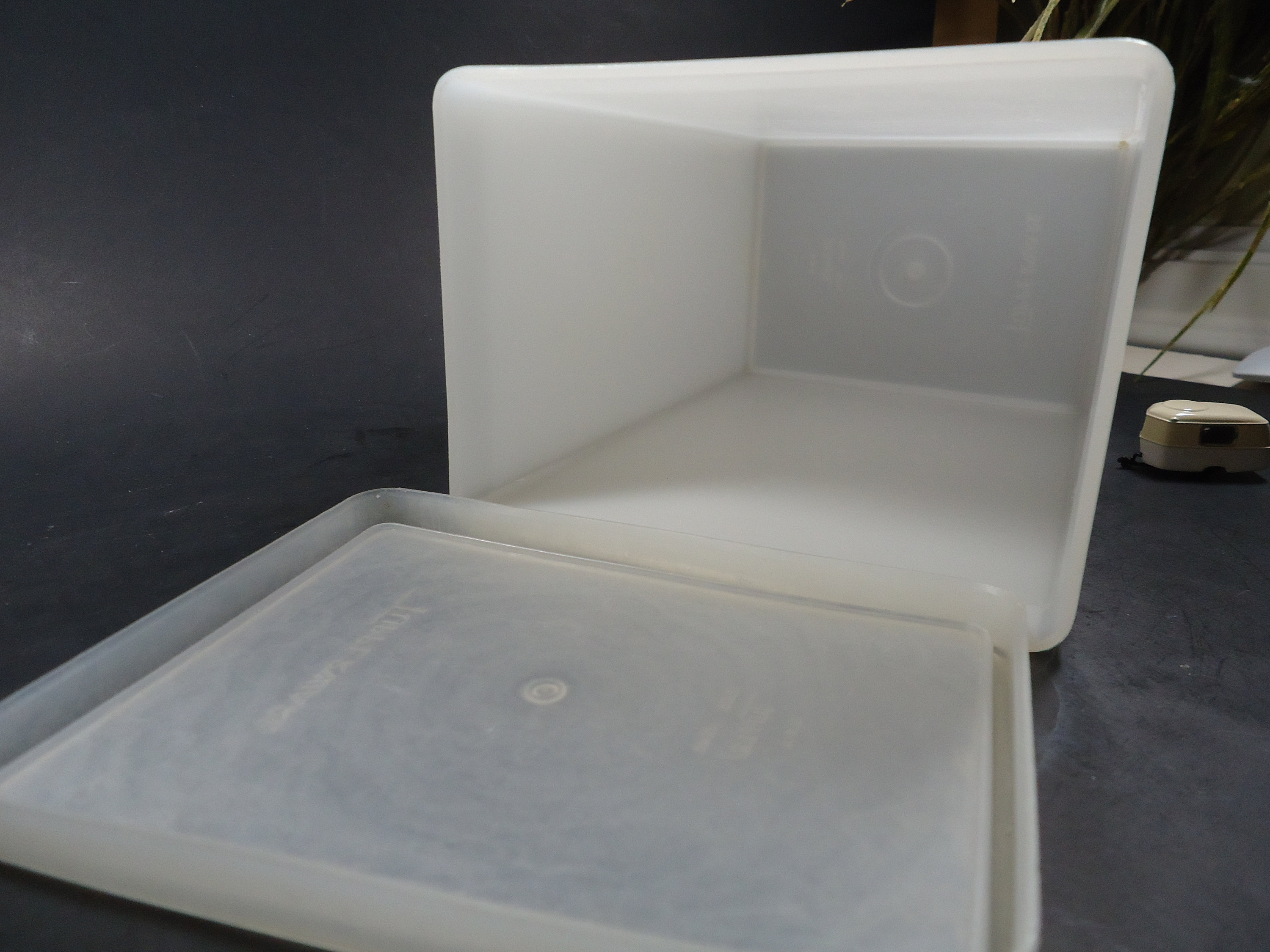 Tupperware Ice Cream Freezer Box. Etsy