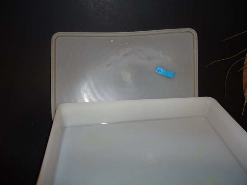 Tupperware Rectangular Storage Container