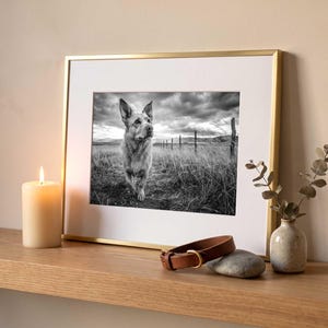 A black and white dog portrait in a white frame lying on kraft paper with a folded card and dried stems arranged around it on a pale surface.