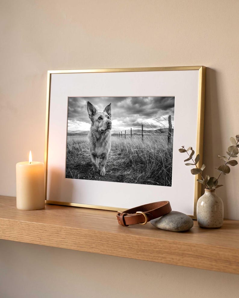 A black and white dog portrait in a white frame lying on kraft paper with a folded card and dried stems arranged around it on a pale surface.