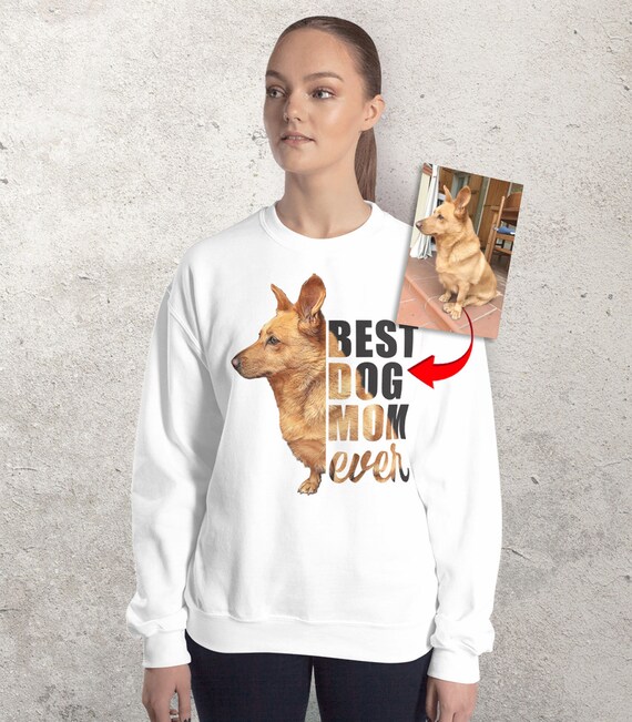 dog sweatshirts