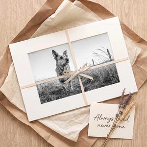 A black and white dog portrait in a white frame lying on kraft paper with a folded card and dried stems arranged around it on a pale surface.