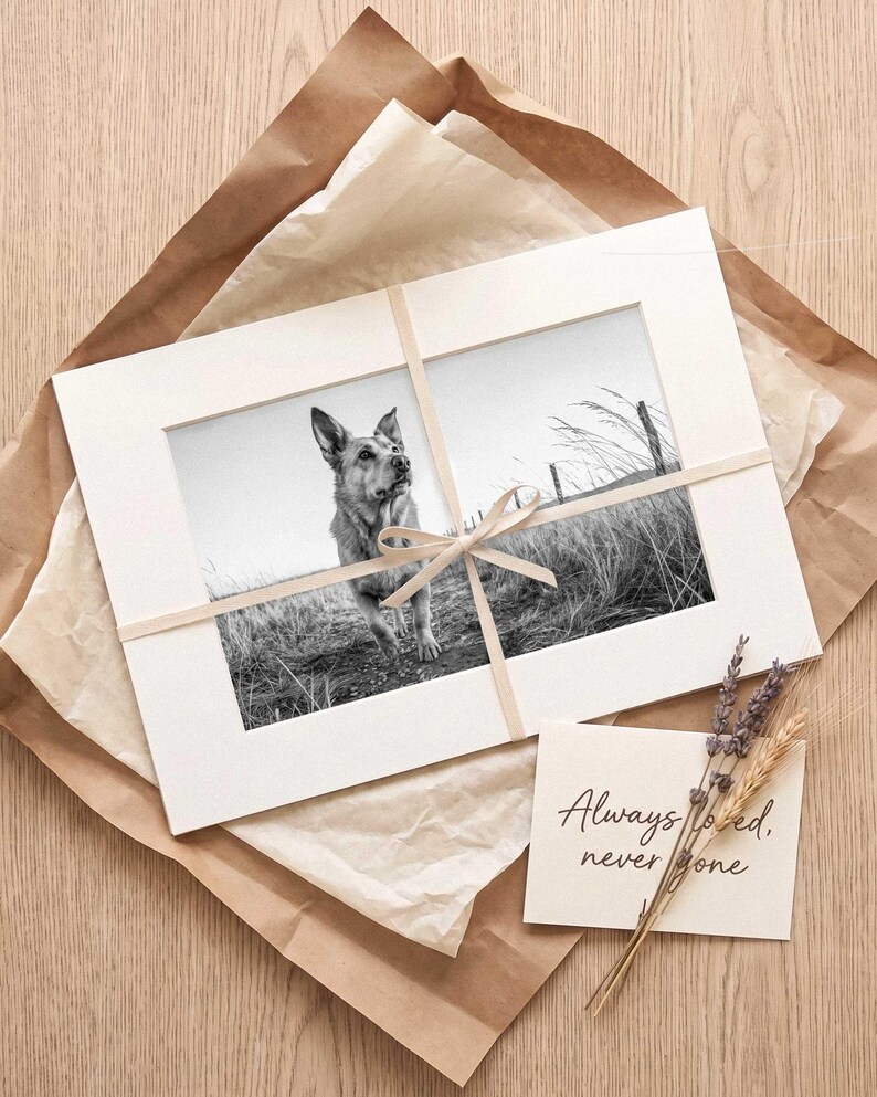 A black and white dog portrait in a white frame lying on kraft paper with a folded card and dried stems arranged around it on a pale surface.