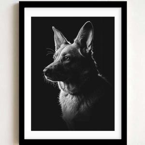 May include: A black and white framed print featuring a side profile portrait of a German Shepherd dog. The dog is captured in high contrast lighting against a solid black background, highlighting the texture of its fur and pointed ears.