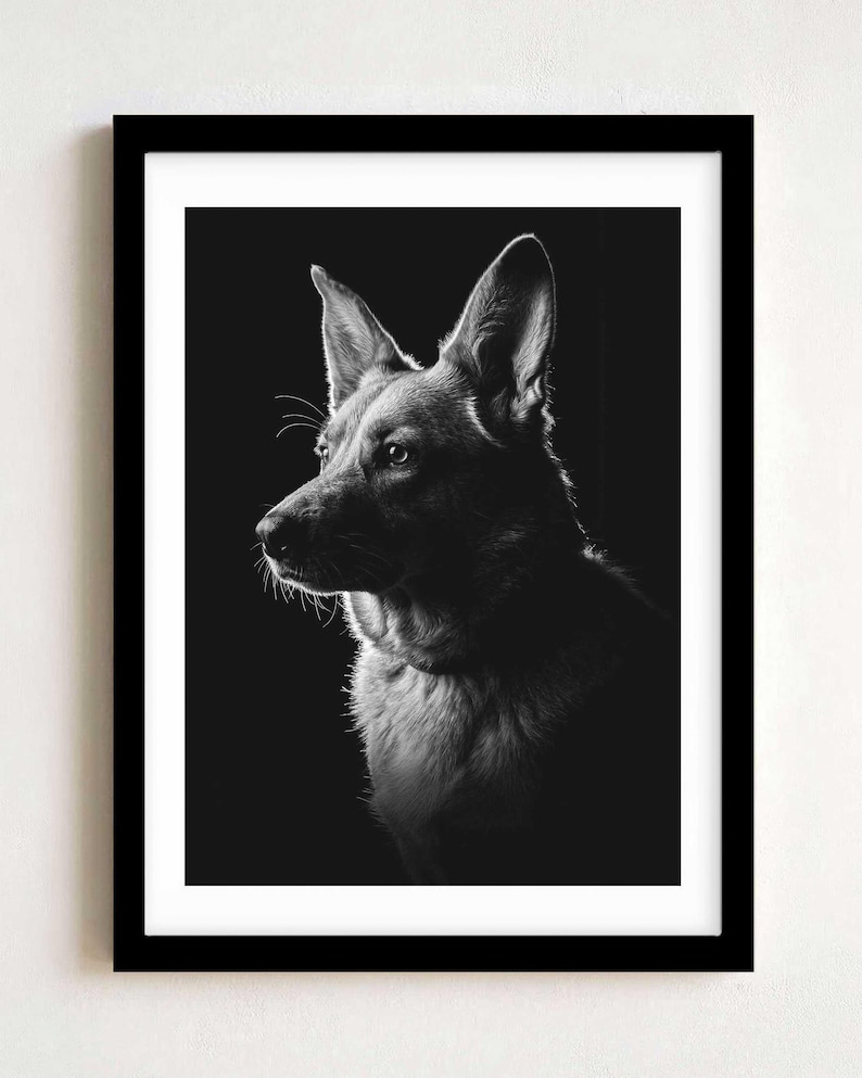 May include: A black and white framed print featuring a side profile portrait of a German Shepherd dog. The dog is captured in high contrast lighting against a solid black background, highlighting the texture of its fur and pointed ears.