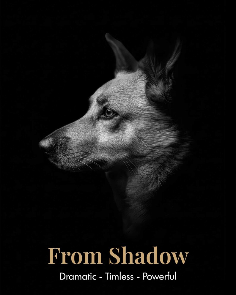 May include: A black and white profile portrait of a dog with pointed ears, set against a dark background. Below the dog, the text reads: From Shadow, Dramatic - Timeless - Powerful. The lighting highlights the texture of the fur and the eye.