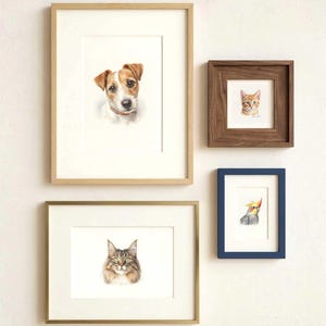 May include: Four framed watercolor portraits of animals displayed on a wall. The collection includes a Jack Russell Terrier in a light wood frame, a tabby cat in a dark wood frame, a Maine Coon cat in a gold frame, and a cockatiel in a blue frame.