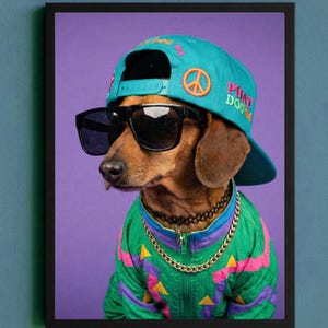 May include: A framed print of a brown dachshund wearing a teal baseball cap with a peace sign and the text PHAT DOG 94, black sunglasses, a black choker, and a gold chain necklace over a green, pink, and purple patterned windbreaker jacket.