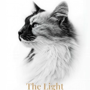 May include: A black and white profile portrait of a long-haired cat with dark markings on its face and ears. Below the cat, the text reads The Light in gold, followed by the words Serenity - Radiance - Warmth in a dark gray sans-serif font.