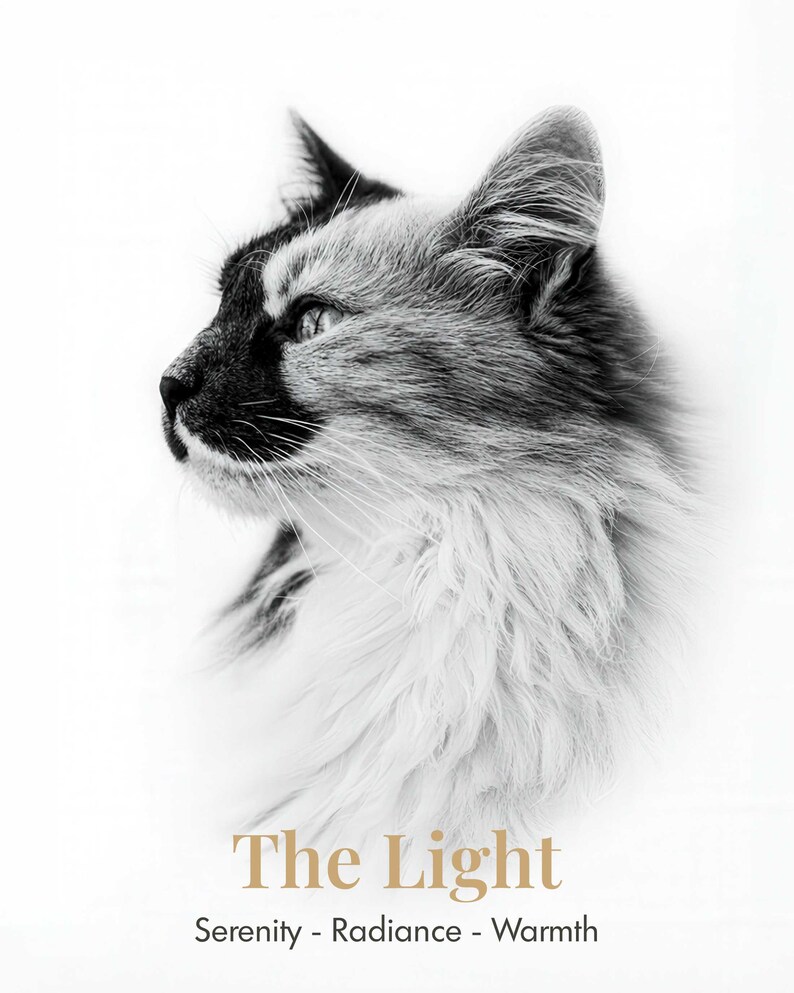 May include: A black and white profile portrait of a long-haired cat with dark markings on its face and ears. Below the cat, the text reads The Light in gold, followed by the words Serenity - Radiance - Warmth in a dark gray sans-serif font.