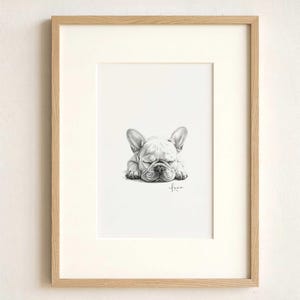 Custom Pet Portrait from Photo, Pencil Charcoal Drawing of a sleeping french bulldog, wooden frame