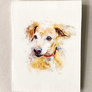 Custom Watercolor Pet Portrait From Photo, Rainbow Bridge Memorial Gift (Digital Download)