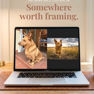 May include: A silver laptop displaying two side-by-side photographs of a tan dog. The screen text reads: THE SAME FACE YOU KNOW. Somewhere worth framing. The laptop is open on a wooden surface, showing a black keyboard and a trackpad.
