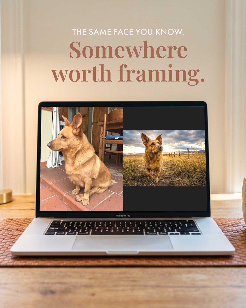May include: A silver laptop displaying two side-by-side photographs of a tan dog. The screen text reads: THE SAME FACE YOU KNOW. Somewhere worth framing. The laptop is open on a wooden surface, showing a black keyboard and a trackpad.