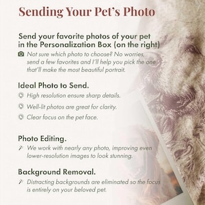 Puede incluir: Texto sobre un fondo color crema que dice "Enviando la foto de tu mascota". Detalla c&oacute;mo enviar fotos de mascotas para un retrato, enfatizando la alta resoluci&oacute;n, la claridad y el enfoque. Tambi&eacute;n se mencionan la edici&oacute;n de fotos y la eliminaci&oacute;n del fondo.