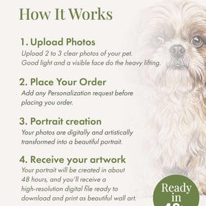 Pode incluir: Um gr&aacute;fico informativo intitulado How It Works detalhando um processo de quatro etapas para retratos personalizados de animais de estima&ccedil;&atilde;o. Inclui instru&ccedil;&otilde;es para enviar fotos, fazer um pedido, criar um retrato e receber um arquivo digital junto com um desenho de um c&atilde;o.