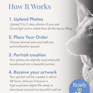 May include: An informational graphic titled How It Works with four steps for ordering a custom pet portrait. The text outlines uploading photos, placing an order, portrait creation, and receiving a digital file. A dog profile is visible on the right.