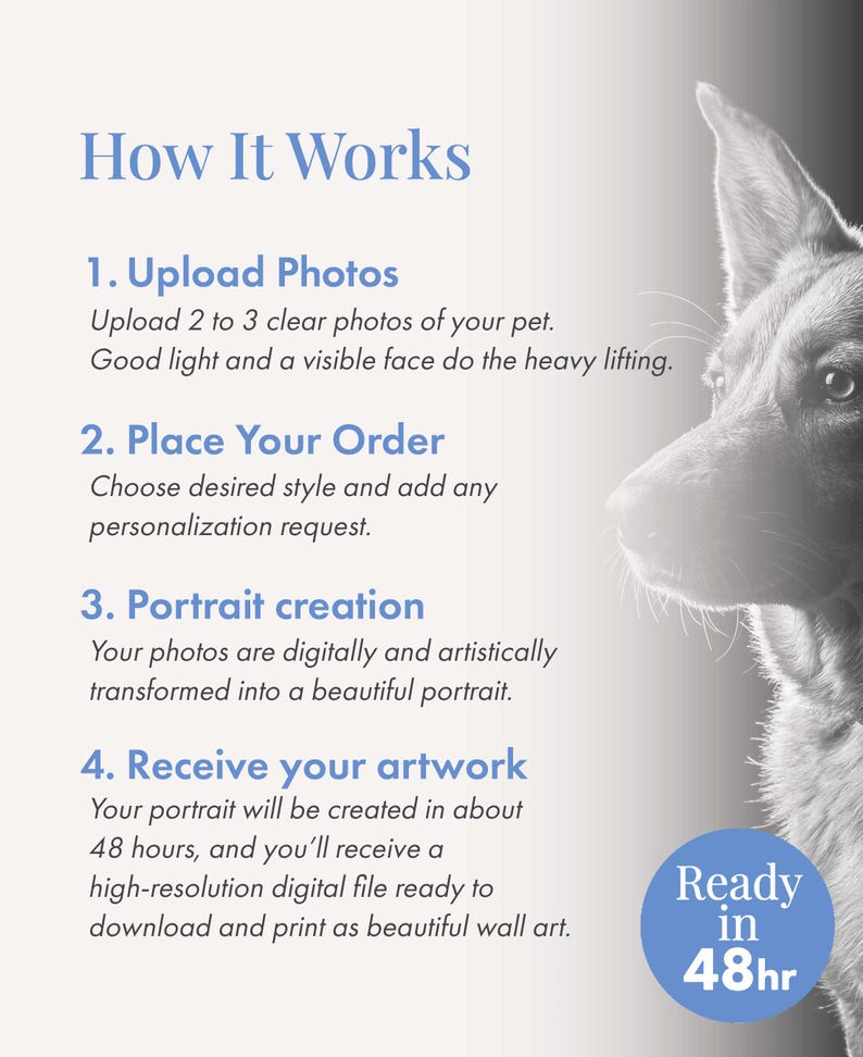 May include: An informational graphic titled How It Works with four steps for ordering a custom pet portrait. The text outlines uploading photos, placing an order, portrait creation, and receiving a digital file. A dog profile is visible on the right.