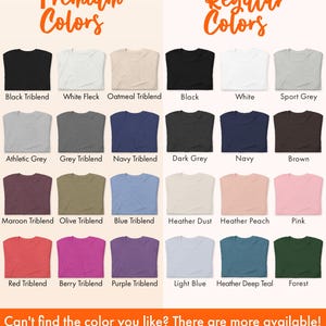 May include: A chart displaying 24 different t-shirt colours, labelled with their names. The chart is divided into two sections: "Premium Colours" and "Regular Colours".