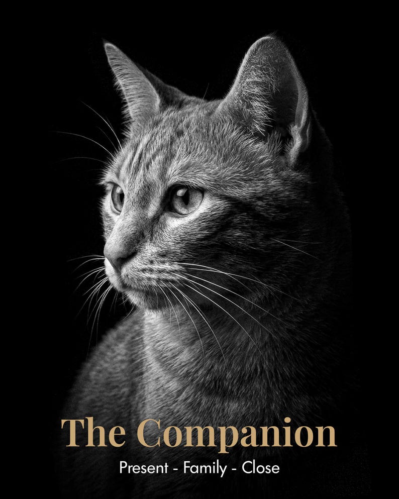 May include: A black and white portrait of a cat looking to the left, featuring detailed fur texture and whiskers. Below the cat, the text reads The Companion, followed by the words Present - Family - Close in a clean, sans-serif font.