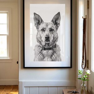 May include: A black and white portrait of a dog with pointed ears and a studded collar, presented in a rectangular frame with a thin black border. The artwork captures the detailed facial features and fur texture of the animal in a realistic style.