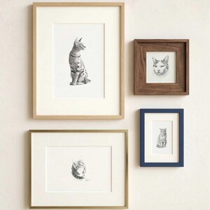 Custom Pet Portrait from Photo, Pencil Charcoal Bundle Drawing of cats in different frames