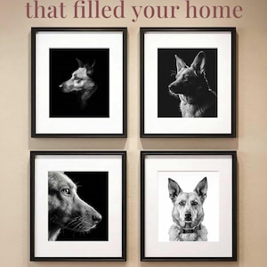 May include: Four square black frames with white matting containing black and white dog portraits. The text reads: Celebrate the Life that filled your home. Your pet's photo is carefully transformed into a timeless black-and white portrait.