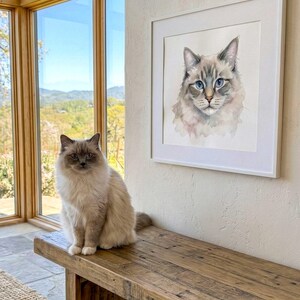 May include: A long-haired cat with cream and grey fur sits on a wooden bench. Beside the cat, a square white frame hangs on the wall, containing a watercolor painting of a cat with blue eyes, grey ears, and a cream-colored face and chest.